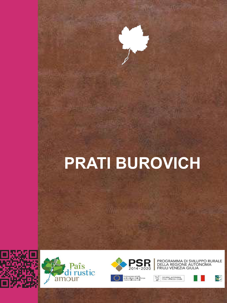 Prati Burovich