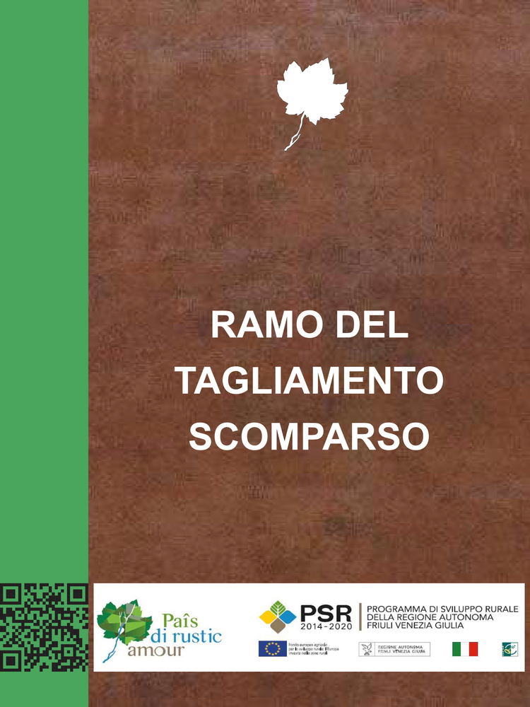 Ramo del Tagliamento scomparso