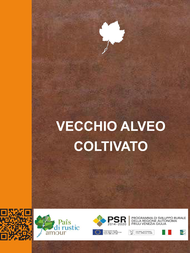 Il vecchio alveo coltivato