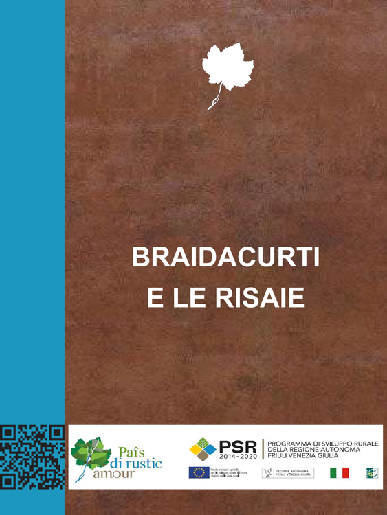 Braidacurti e le risaie