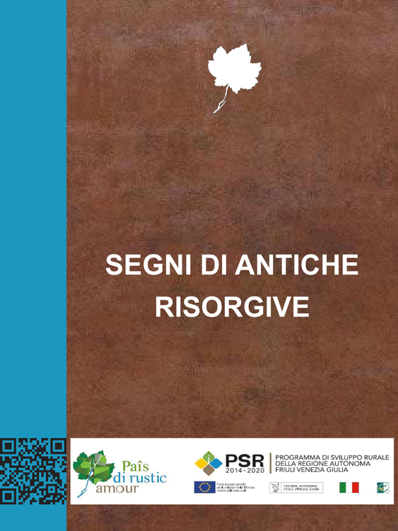 Segni di antiche risorgive (sorgenti Roggia Mussa)